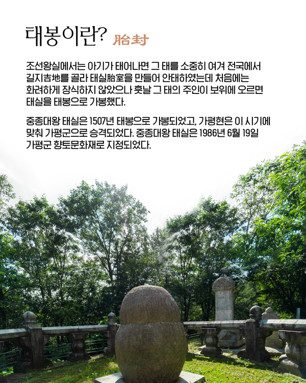 중종대왕 태봉문화제, 태실 세계문화유산 등재 첫걸음될까